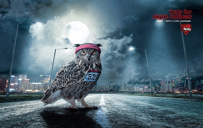 猫头鹰素材模版背景