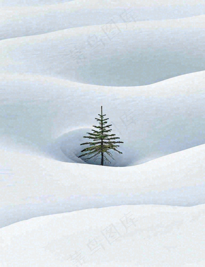 冬天意境简约松树雪地，立冬冬至小雪大雪小寒大寒(960x1248)