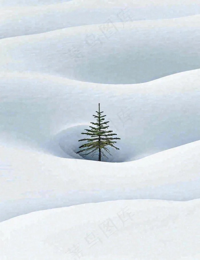 冬天意境简约松树雪地，立冬冬至小雪大雪小寒大寒(960x1248)