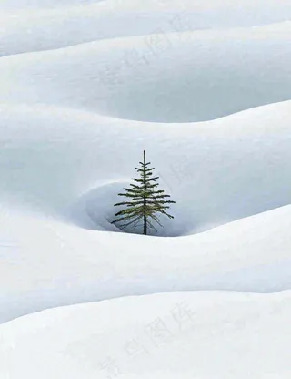 冬天意境简约松树雪地，立冬冬至小雪大雪小寒大寒