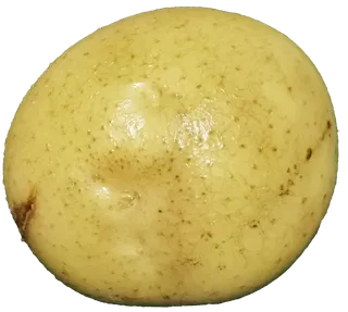 单个新产红心马铃薯土豆洋芋免抠实拍高清摄影元素素材