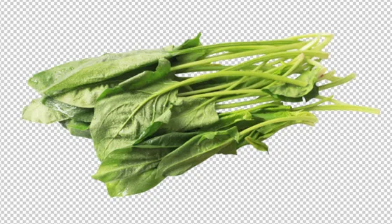菠菜免扣素材 菠菜免扣素材