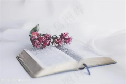 清新冷色调书籍图片