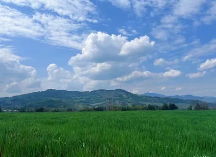 蓝色与绿色融为一体高清图