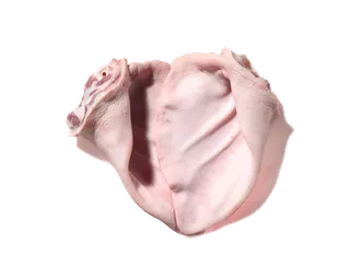 鹌鹑蛋 (超市商品白底图免抠实物摄影png格式图片透明底433