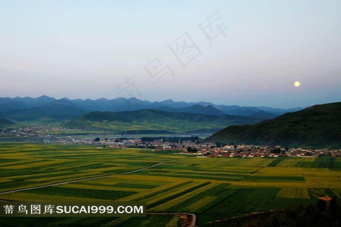 青海门源风景摄影