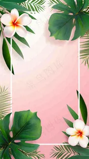 粉色鲜花绿植清新插画，书信书签邀请函