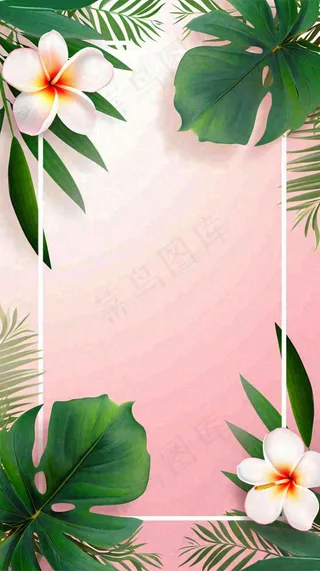 粉色鲜花绿植清新插画，书信书签邀请函