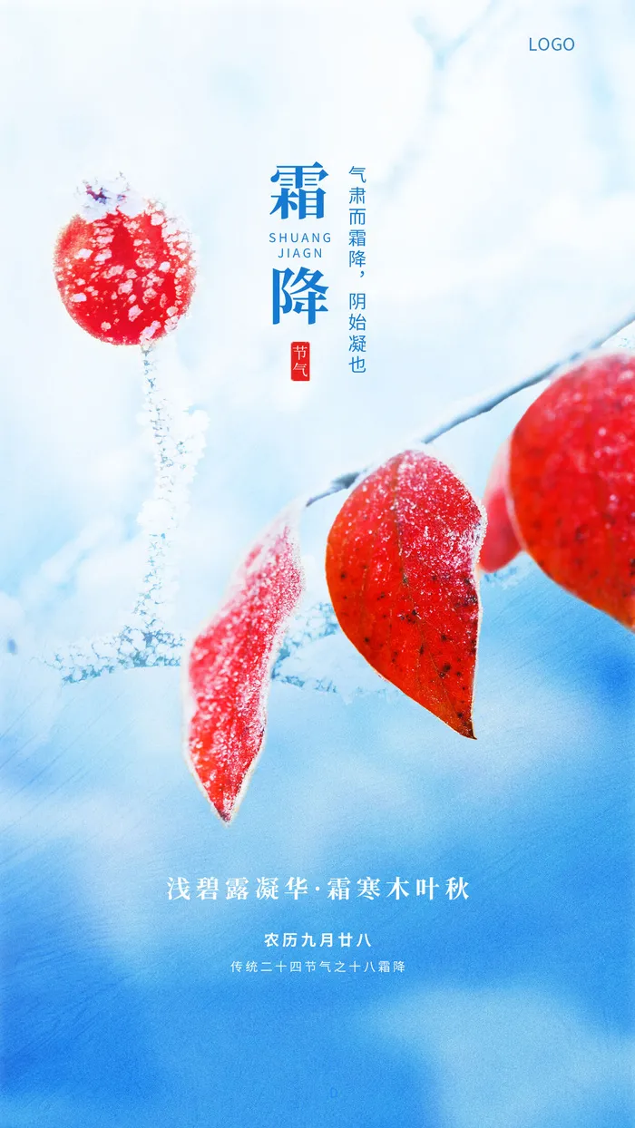 蓝色简约二十四节气霜降水滴柿子手机海报霜降海报