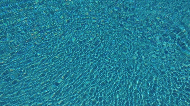 池, 蓝色的, 夏天, 那