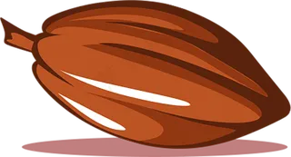 可可果实可可粉免抠 (31)