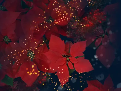 图片设计素材背景鸟语花香 图片设计素材背景鸟语花香