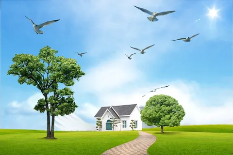 韩式自然背景 (24)