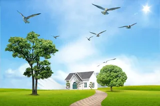 韩式自然背景 (24)