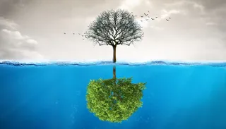 高清创意绿色环保背景图片公益海报展板宣传PSD分层平面设计素材