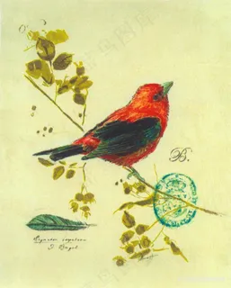 树枝鸟复古插画 树枝鸟复古插画
