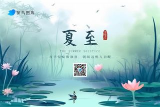 夏至国风荷花荷叶幽静海报