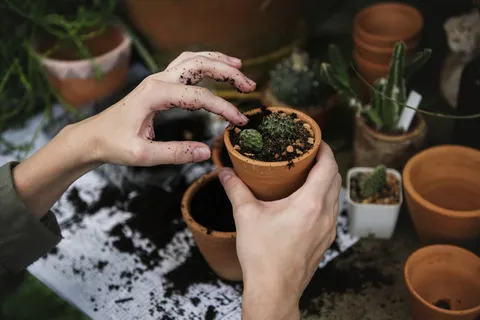 盆栽种植手势图片 盆栽种植手势图片