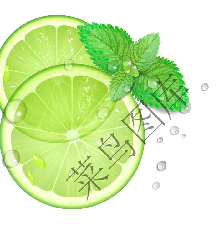 青柠檬 薄荷叶矢量图ai矢量模版下载