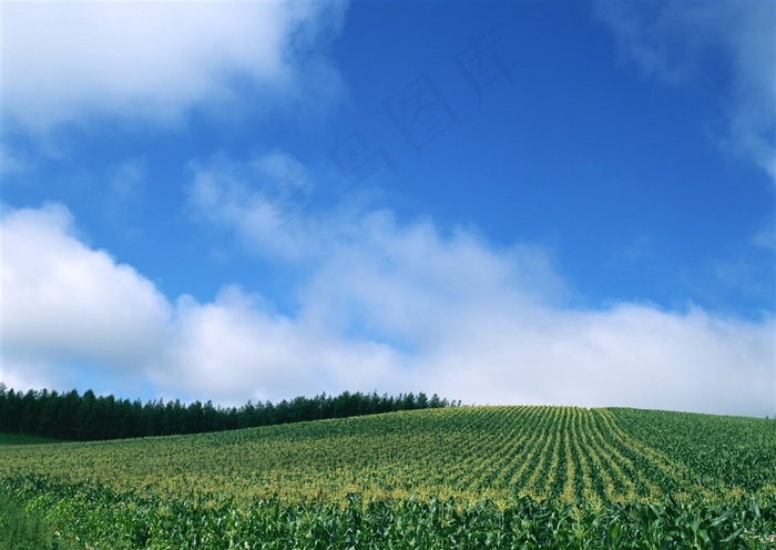蓝天白云风景干净jpg素材