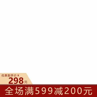 电商主图 网店主图