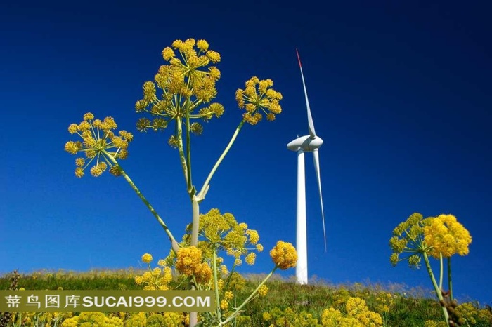 现代科技自然风光