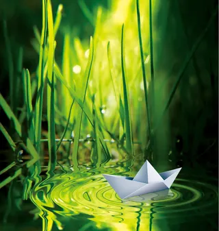 绿草时尚花纹早上阳光小船