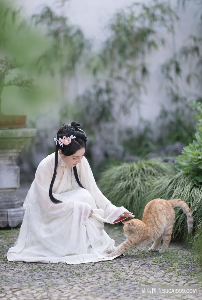 白衣古装美女和小橘猫图片