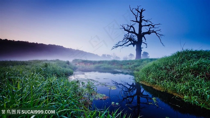 湖畔草地风景画壁纸