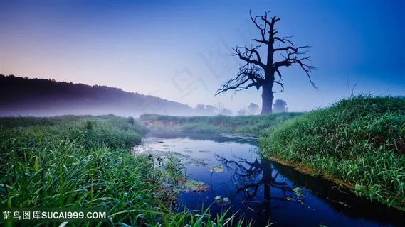 湖畔草地风景画壁纸 湖畔草地风景画壁纸