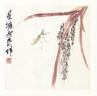 国画齐白石花鸟斗方八开国画图片