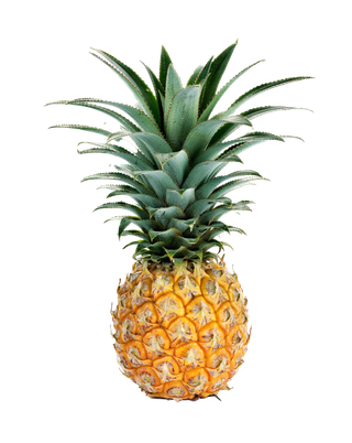 菠萝 (14)水果超市商品白底图免抠实物摄影png格式图片透明底