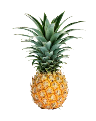 菠萝 (14)水果超市商品白底图免抠实物摄影png格式图片透明底