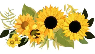 手绘向日葵黄色