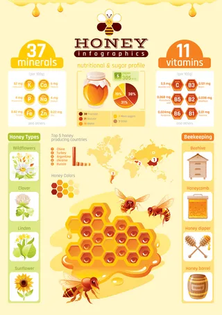 创意矢量蜂蜜信息创意图表