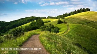 绿色草原弯曲小路美景风景图片