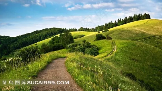 绿色草原弯曲小路美景风景图片 绿色草原弯曲小路美景风景图片