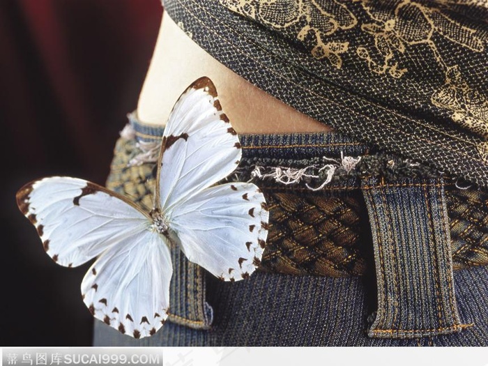 腰间的白蝶