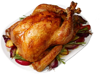 火鸡烤肉养殖现代农业