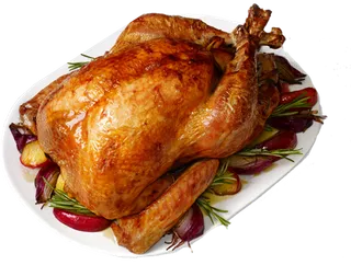 火鸡烤肉养殖现代农业