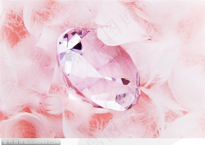 甜蜜婚礼-羽毛与钻石