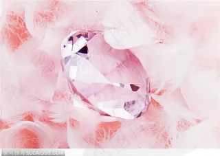 甜蜜婚礼-羽毛与钻石