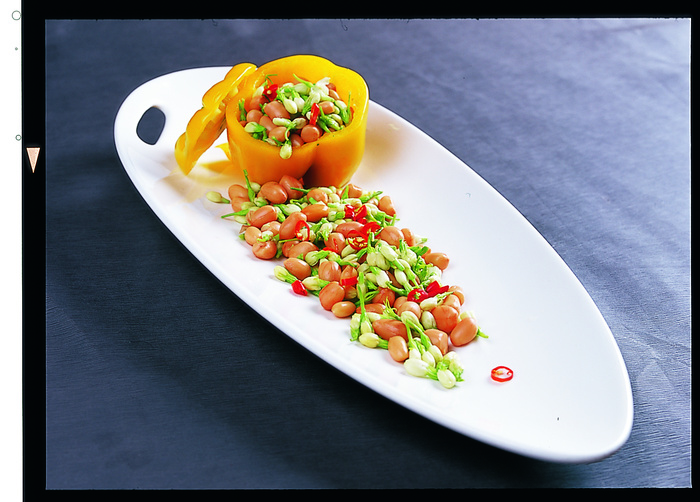 LCSC1763茉莉花生豆20