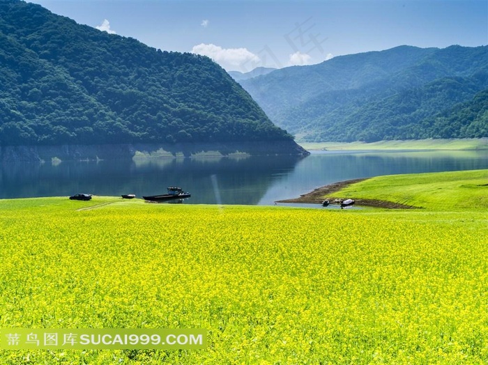 青山绿水油菜花风景摄影图