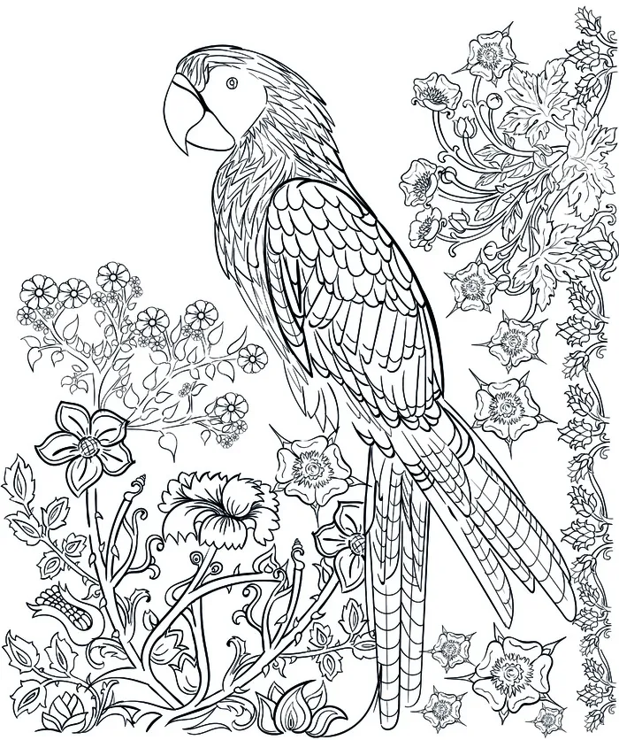 卡通手绘儿童画黑白线描线稿eps,ai矢量模版下载