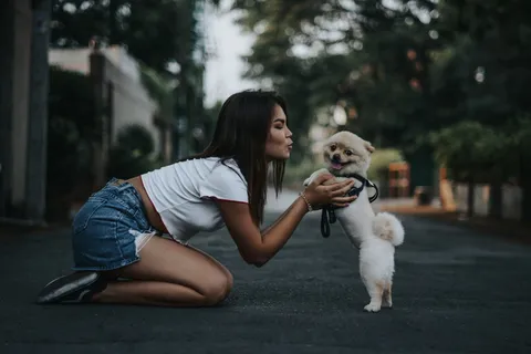 宠物狗与主人写真图片 宠物狗与主人写真图片