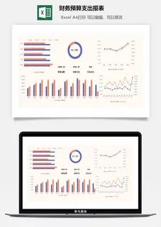 22财务预算支出报表