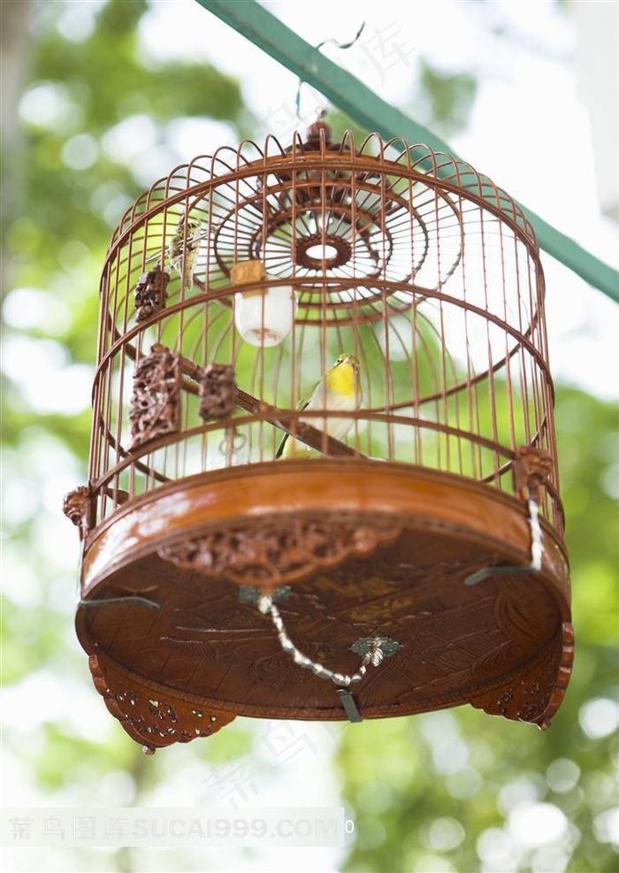 中式雕花鸟笼和小鸟