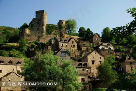 山坡上的古建筑和树木