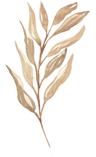 唯美森系手绘水彩花朵 免抠